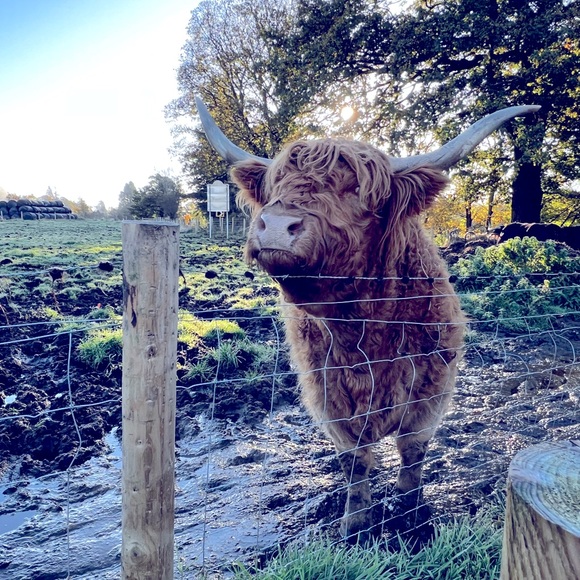 💋Meet The Posher💋 - Picture 15 of 16